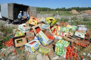 Караван фур с запрещенными к ввозу в Россию товарами задержан в Белоруссии
